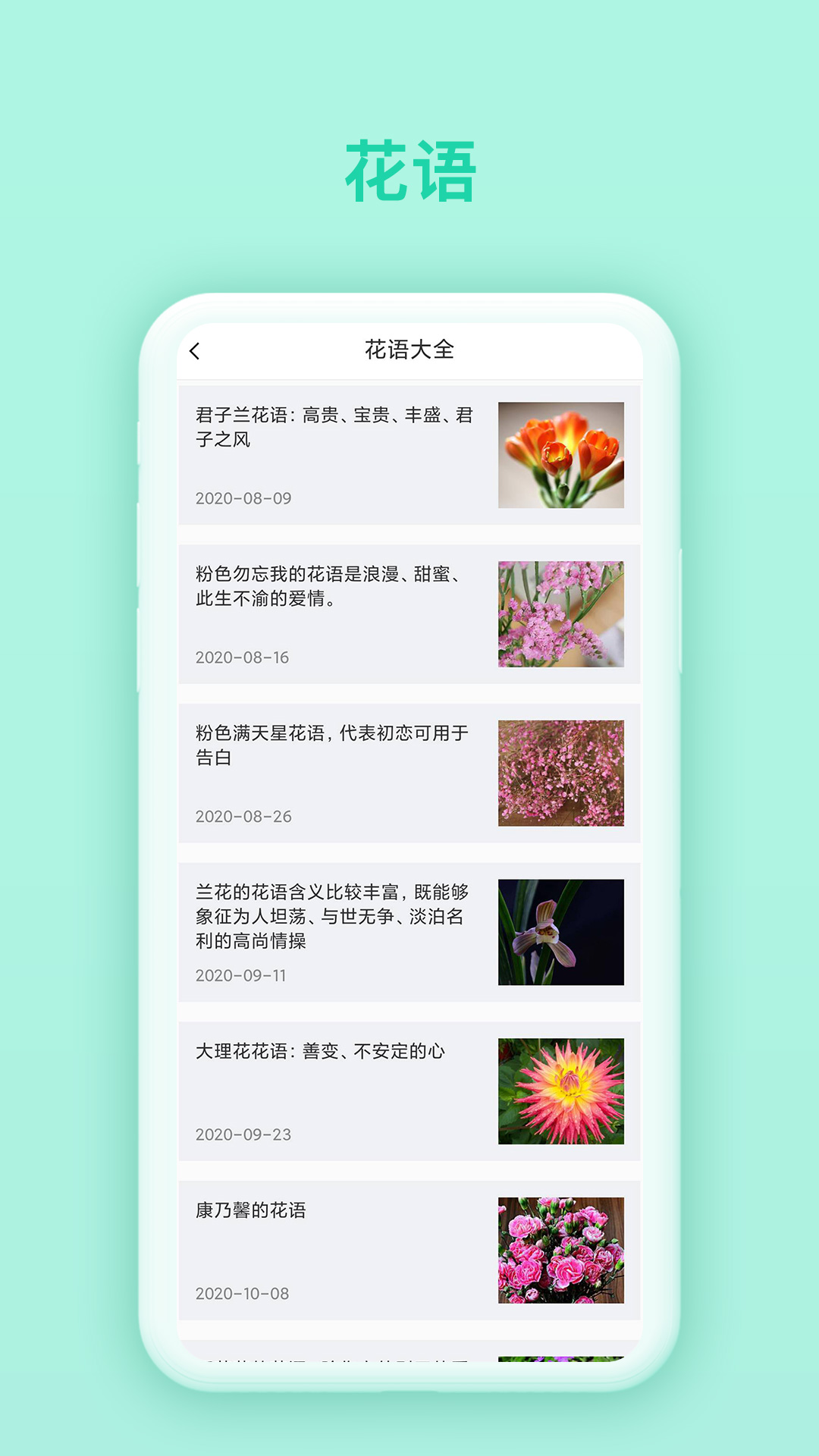 万物识别截图3