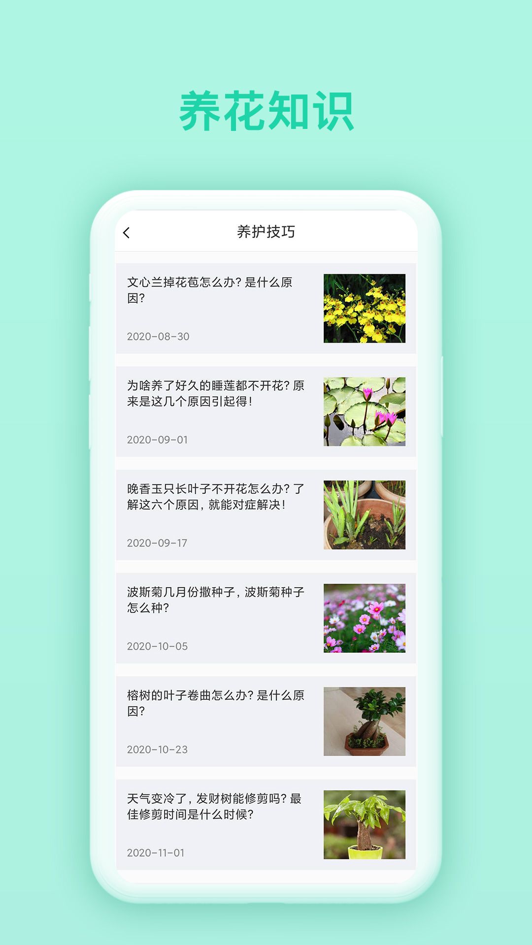 万物识别截图2