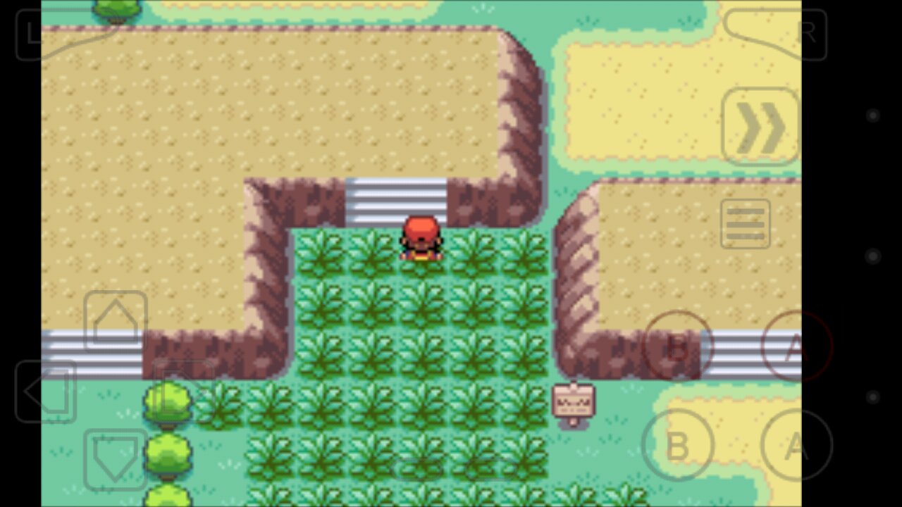 口袋妖怪火红第八个道馆怎么进去