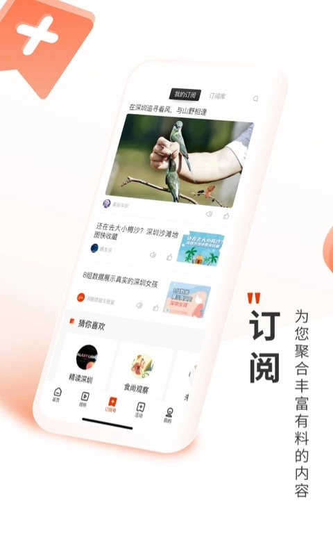 深圳plus截图5