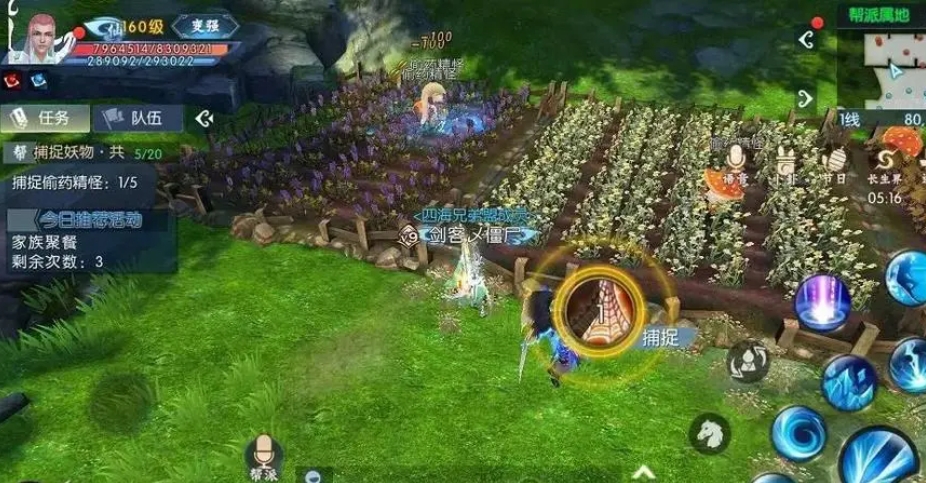 诛仙手游宠物的技能玉哪去了