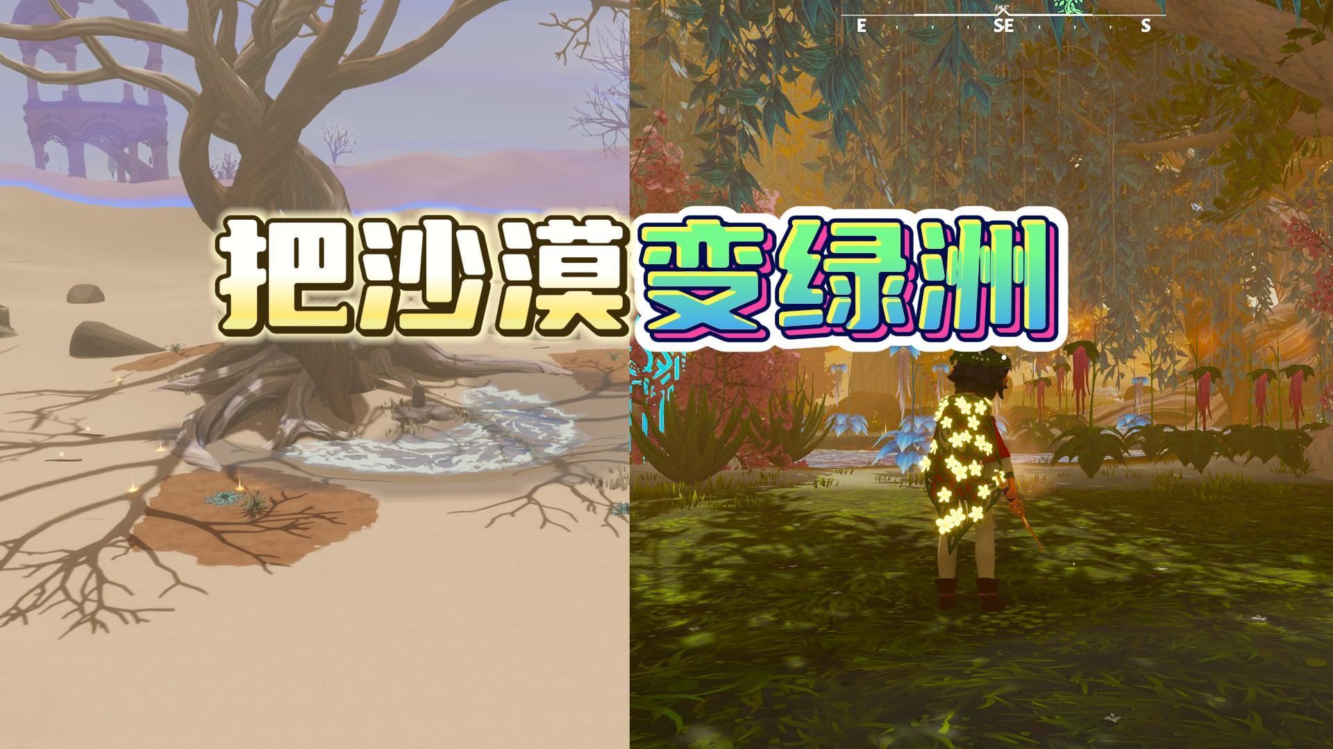 《荒原疗者》在沙漠中艰难种树