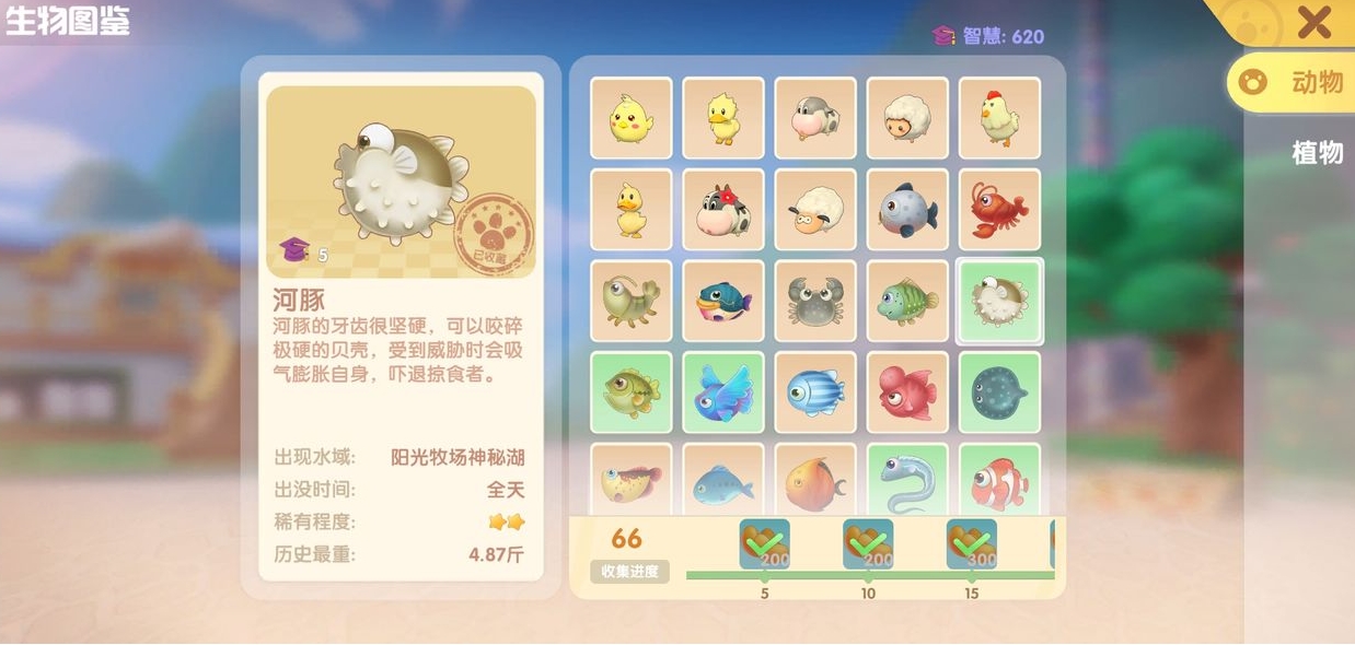 摩尔庄园鸡饥肠辘辘怎么让他去吃