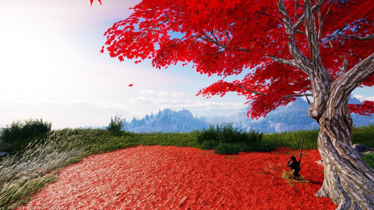 燕云十六声兽语怎么用