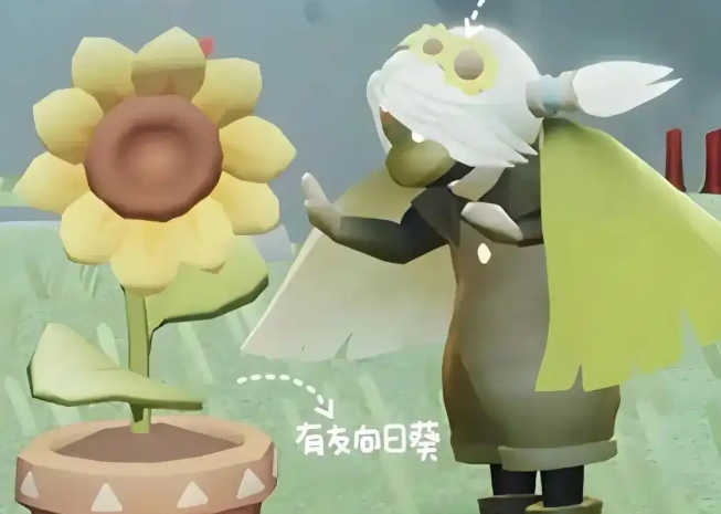 光遇彩虹节有什么