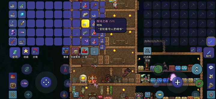 泰拉瑞亚视域之魂在哪里获得
