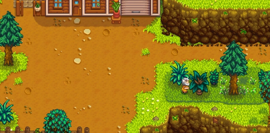 星露谷物语流浪汉在哪