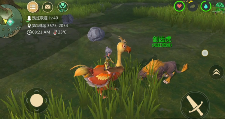 创造与魔法陆行鸟怎么抓