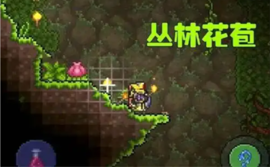 泰拉瑞亚如何找花苞