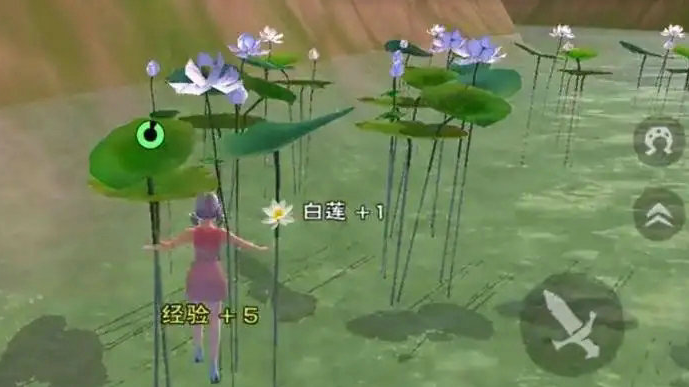 创造与魔法水晶莲花可以干嘛