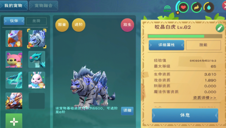 创造与魔法白虎怎么合稳6阶