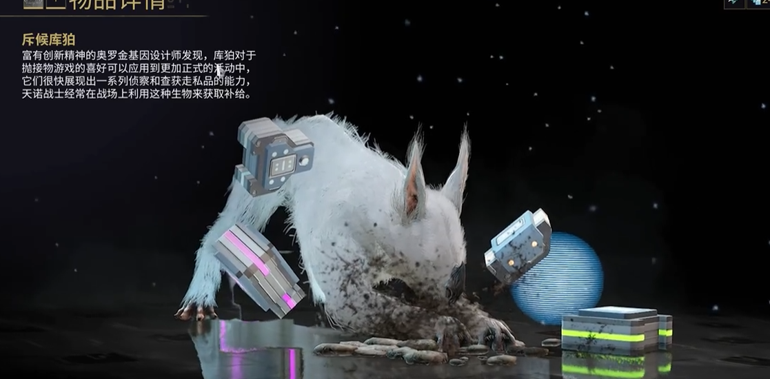 星际战甲什么库柏最好看