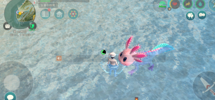 创造与魔法小蝾螈饲料怎么做