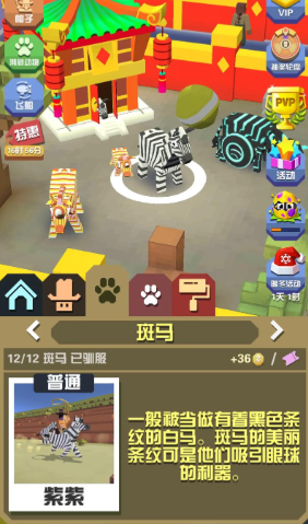 疯狂动物园什么宠物最挣钱