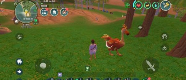 创造与魔法新版陆行鸟在哪