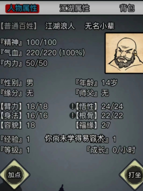 放置江湖精神有什么用