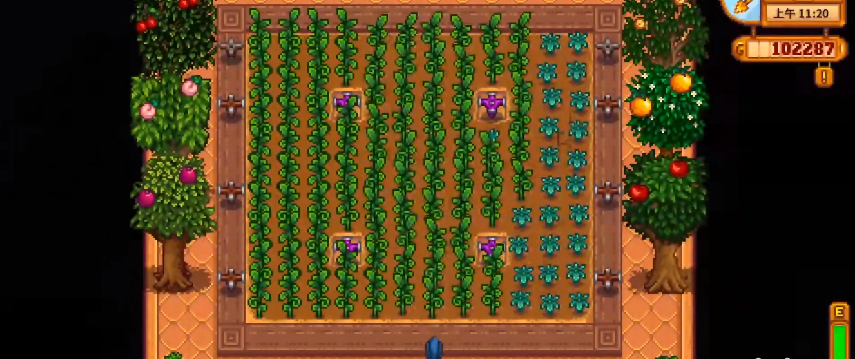 星露谷物语第一年冬天怎么玩