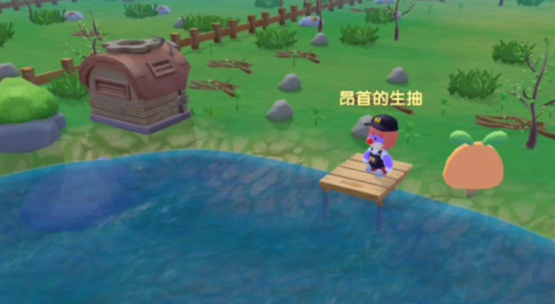 摩尔庄园小屋旁边怎么布置