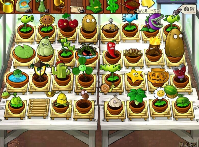 植物大战僵尸刷钱阵法怎么搭配