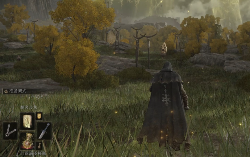 艾尔登法环密使和观星者哪个好