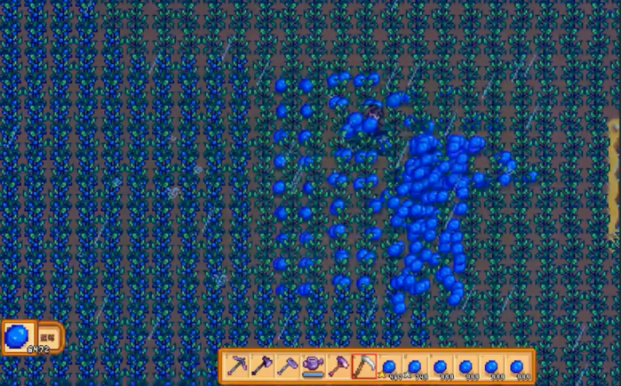 星露谷物语夏天该种什么