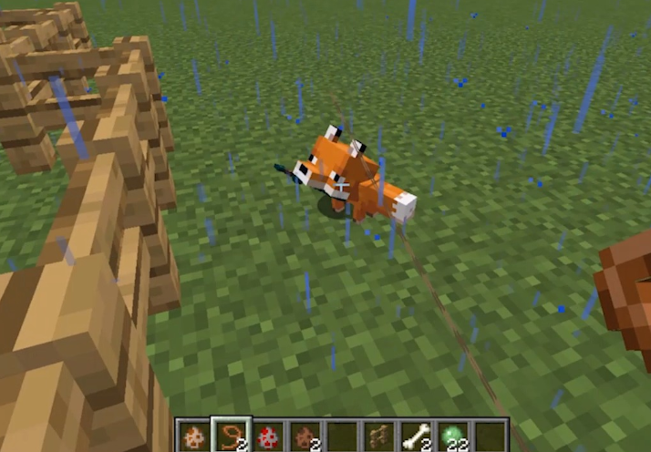 我的世界狐狸有什么作用