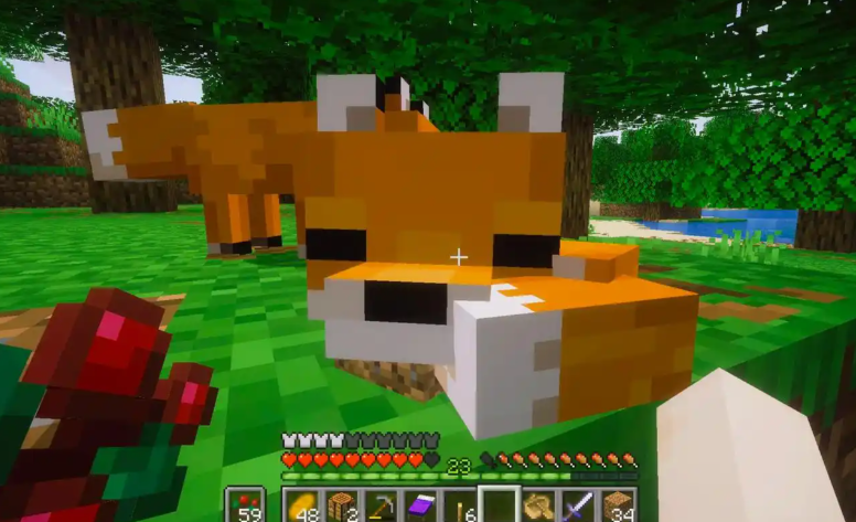 我的世界狐狸有什么作用