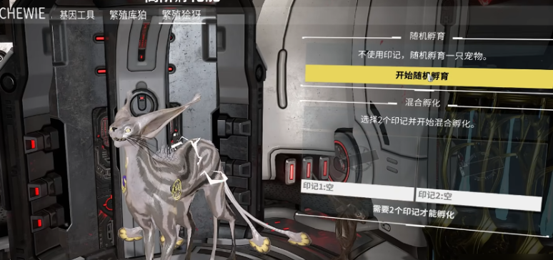 星际战甲猫咪去哪里抓