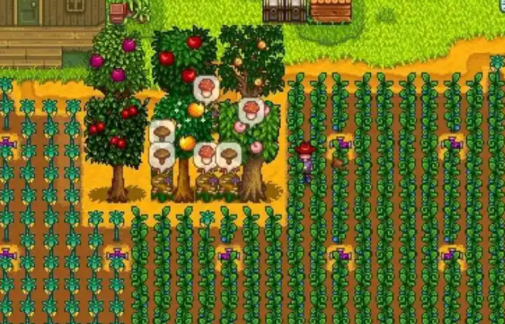 星露谷物语怎么防止树木掉果子