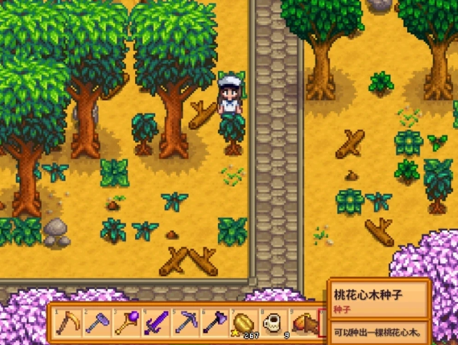 星露谷物语桃心花木怎么种